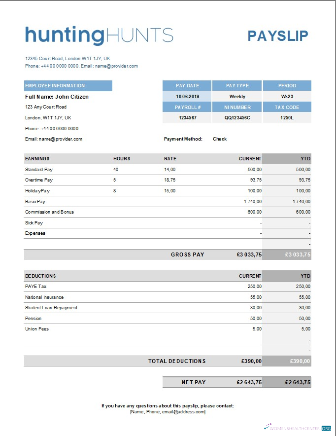 Download hunting company paystub template in Excel and PDF formats Photoshop template